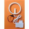 Generico Centro Ardolino Corona Aureola Luminosa a Led cm. 12 in plex con trasformatore 12v per Statue MADONNA e Santi Shop Sacro Religioso. (cm. 10)