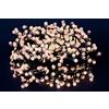 COSE DA CASA 1000 palline luce led Catena Luminosa Natalizia bianca calda lunga 55 metri uso esterno o interno ip44 certificate CE Funzione Memory addobbi natalizi decorazione locali casa giardino
