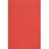 Netuno 100 fogli cartoncino colorato riciclato rosso formato A4 21 x 29,7 cm 285g Woodstock Rosso carta ecologica stampabile per bricolage lavoretti creativi partecipazioni inviti bomboniere