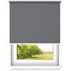 time4blinds Tende a rullo Tende oscuranti Tende a rullo libere senza cassonetto Montaggio a parete o a soffitto Protezione UV Proprietà termiche 150x300 cm Antracite chiaro - destro
