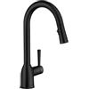Moen 87233BL Adler Rubinetto da cucina monocomando ad arco alto con Power Clean, nero opaco