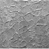 Eurodeco Pannelli aspetto cemento in morbido polistirolo XPS, 50x50cm - spessore 3 mm, decori pannelli per soffitto per pareti (10m², 4311)