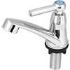 Ejoyous Rubinetti per Lavabo, Rubinetto Singolo in Plastica ABS Cromato Lucido Rubinetto Dell'acqua per Lavabo Accessori per Lavello da Cucina, Rubinetto Solo Acqua Fredda(Una parola G1/2)