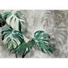 murando Carta da parati Monstera Variegata 500x350 cm Fotomurali in TNT Murale alla moda Decorazione da Muro XXL Poster Gigante Design Carta per pareti Natura Botanica Impianti Thai b-C-0893-a-a