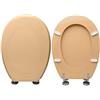 HYDRO HOME Tavoletta Wc Compatibile con PIEMONTE e PIEMONTESINA POZZI GINORI, Copriwater In Legno Rivestito Con 2 mm Di Resina, Cerniere Fissaggio Dal Basso MADE IN ITALY (WHISKY)