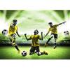 Runa Art Carta da parati fotografica Stadio di calcio Moderno Vello Soggiorno Camera Da Letto Sala - Made in Germany - verde giallo 9049010b