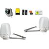 Dieffematic KIT AUTOMAZIONE CANCELLO A BATTENTE CON BRACCIO ARTICOLATO 24V SNODO AUTOMATISMO