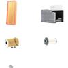 RIDEX 4055F15450 Kit filtri con guarnizioni con prefiltro Compatibilità con VW GOLF VI 5K1 Diesel