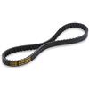 AER MOTO SPARE PARTS CINGHIA X K BELT MALOSSI PER VARIATORE CIAO - CIAO PX 50 CC PORTACHIAVI AER OMAGGIO