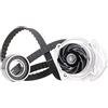 Ina 530000930 Kit Tendicinghia | Compatibile con: AUTOBIANCHI Y10, FIAT CINQUECENTO, PANDA, PANDA Kasten/Schrägheck, PUNTO, PUNTO Van, TIPO, UNO, LANCIA Y