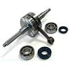 TOP-DR 9925910 ALBERO MOTORE TPR CORSA 39.2 X MINARELLI ORIZZONTALE +CUSCINETTI+PARAOLI SPINOTTO 10