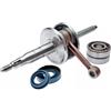 TOP-DR IM07058 ALBERO MOTORE COMPLETO CON CUSCINETTI DR MINARELLI VERTICALE