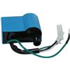 Citomerx CDI, centralina con bobina di accensione per Malaguti F10, F12, F15, Yesterday, Centro, Beta Ark, Tempo, Quadra