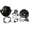 Malossi Kit cilindro 75 ccm - Vespa PK 50 (V5X1T)