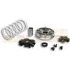 Malossi Variatore Malossi Multivar per scooter Kymco.DINK 50, K12 AGILITY 50cc 2T AC RS Kymco DINK 50, K12 AGILITY 50cc 2T AC RS