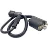 Generico 40100118 BOBINA ALTA TENSIONE EXC 2T 125 2005 2006 2007 2008