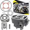 Area1 Cilindro di ricambio 50 ccm 2 tempi Minarelli Motore LC (raffreddato ad acqua) compatibile con F12 Phantom 50 LC (04-), F12 Phantom 50 LC (-00), Mach G 50 LC 02 - SA22, Nitro 50 03-12 SA14