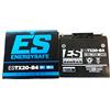 ENERGY SAFE Batteria Estx20-B4 12V/18Ah Sigillata
