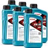 ROWE HIGHTEC SYNT RS DLS SAE 5W-30 OIL-CODE 20118-0010-99 (6)