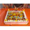 Generico Cialda per Torta PERSONALIZZATA con la tua IMMAGINE in FIBRA VEGETALE top qualita disponibile OSTIA e ZUCCHERO (Rettangolo 20x29cm, Ostia)