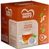 CUORE NERO CAFFE Cuore Nero Caffè - Tisane e Infusi in Cialde ESE 44MM da 2Gr. Confezioni da 8 Cialde (Agrumi)