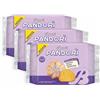 MENDOSA 3X BauIi Pandorì Mini Pandorino al Miele con Zucchero a Velo 150g