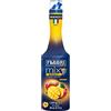 Fabbri mixy Fruit Mango 1 L