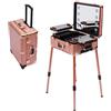 Owneed Valigetta cosmetica trolley per trucchi, 22, Rolling Makeup Train Case per trucchi professionali, organizzatore cosmetico, tavolo da toeletta con 4 ruote e illuminazione e specchio, oro rosa.,