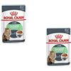 Royal Canin Digest Sensitive Wet Food | Confezione Doppia | 2 x 12 x 85g | Alimento completo per gatti adulti | Può aiutare a ridurre l'odore delle feci