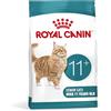 Royal Canin Ageing Sterilised 11+ | 2 kg | Cibo secco per gatti sterilizzati a partire dall'11° anno di vita | Formula con HealthyAge7™ Complex | Contiene crocchette facili da masticare