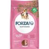 Generico FORZA 10 Cane All Size Adult - Maiale | alimento secco completo per cani adulti di tutte le taglie, senza coloranti aggiunti, Made in Italy, 1 confezione da 2kg.