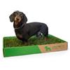 GreenInBox® Zolla in Vera Erba - Lettiera Naturale per Training Cucciolo, Cani Piccoli. 60x40 cm