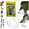 FREEPARROT laccio A3 elastico CORDA 3MM x 1 METRO CON MOSCHETTONE 1MM DA INSERIRE AD ANELLO DELLA ZAMPA DEL TUO PAPPAGALLO per portarlo IN GIRO, IMBRACATUA ZAMPA, GUINZAGLIO PETTORINA pp
