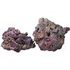 Carib Sea Aquatics Life Rock - Scatola da Esposizione da 9 kg