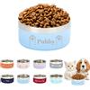 Brocade Creek Ciotole Personalizzate per Animali Domestici, Ciotole con Nome Inciso per Cani e Gatti, Ciotola Antiscivolo in Acciaio Inossidabile per Cani, Regali Personalizzabili per Animali Domestici - Azzurro