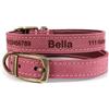 CustomDesign.Shop Collare personalizzato in pelle per cuccioli di cane + Guinzaglio opzionale | Incisa al laser - Rosso, taglia 3