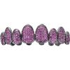 AHTCPO Lussuoso Set di Grillz Hip Hop Placcati Oro con Strass CZ Multicolore - Dentari Superiori & Inferiori Regolabili Brillanti per Feste & Spettacoli(Rose red upper teeth)
