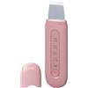 Genérico Spatule Pour La Peau,Grattoir À Pores Ultrasonique,Grattoir Nasale in Acier Inoxydable - Pour Femmes Et Filles, Routine Beauté, Trucco, Après Entraînement, Dente