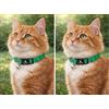 Flamingo collare gatto - Elza verde 20-34 cm - nylon elastico riflettente con campanellino (Confezione da 2)