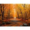 TWYYDP Puzzle 1500 Pezzi per Adulti,Puzzle di Legno,Paesaggio Autunnale Della Foresta Dorata,Regalo di Puzzle