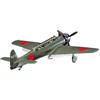 Hasegawa 1/48 Nakajima C6N1 aboard reconnaissance aircraft iridescent clouds (japan import)