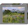 Heye Tatoosh Mountains: 2000 Teile