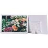 Generic Cornice digitale, cornice digitale 17 pollici, display IPS Full HD 1440x900 con lettore foto/musica/video, calendario, sveglia, timer accensione/spegnimento automatico con telecomando, supporto