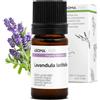 Aroma Labs Lavanda Aspic BIO (Lavandula latifolia) - 5 mL - Olio Essenziale Chemiotipizzato e Certificato AB - Aroma Labs - Made in France