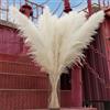 CKBT Erba della pampa bianca alta da 101,2 cm, decorazione alta per vasi da pavimento, pavimento del soggiorno, piante da pavimento, Plumas para e decorazione da parete con erba