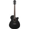 Ibanez Acoustic guitar / AEG7MHWK Standard