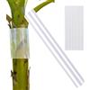 Jukeoiu Protezione Corteccia Albero,Protezione Impermeabile Anti-Rettili, Tronco Albero per Corteccia - per Esterno Giardino Cortile Patio Progettazione Paesaggistica Giardinaggio Piantine