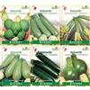 Generic E Curcubita Pepo, Nano Verde.: 20-35 grani di zucchine Cucurbita 6 varietà speciali di migliore qualità non OGM: grani