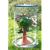 Verdemax 2634 70 x 100 cm, Serra Pop-up per anthurium