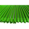A2ZWORLD 10 Pezzi Supporto Per Piante 150cm Ø16mm, Canne In Acciaio Plastificato, Bastone Orti, Colore Verde, Tanti Misure (1,6X150cm)